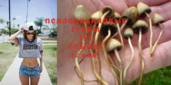 мяу мяу мука Белоозёрский