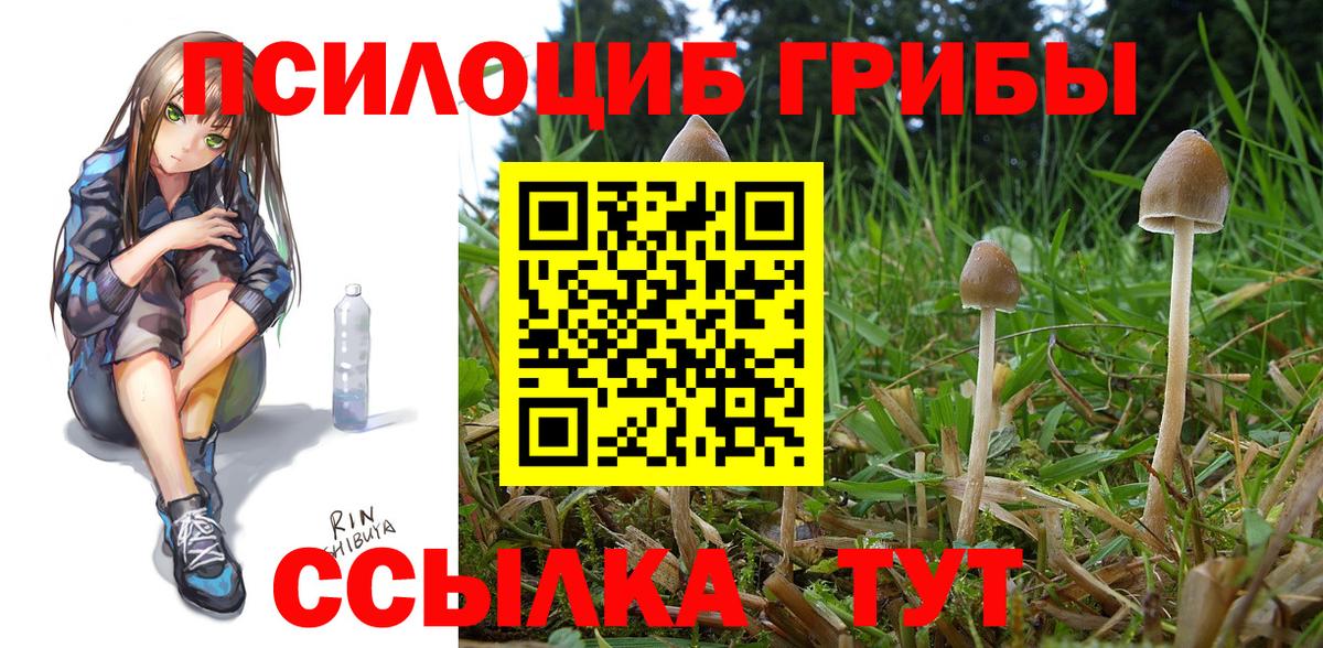 Гусев  Галлюциногенные грибы ЛСД  Вход с VPN  Галлюциногенные грибы Cubensis 