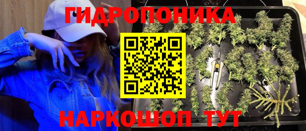 Конопля OG Kush  Гусев  Конопля Ganja 